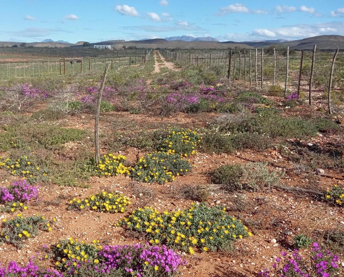 Апартаменты Pureplaas Self Catering Volmoed Oudtshoorn Klein Karoo Экстерьер фото