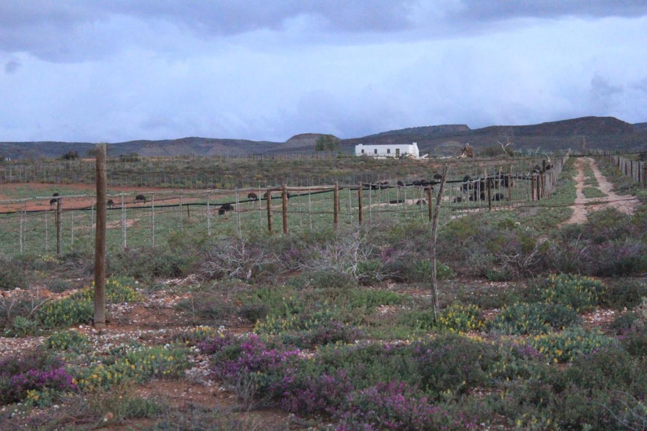 Апартаменты Pureplaas Self Catering Volmoed Oudtshoorn Klein Karoo Экстерьер фото