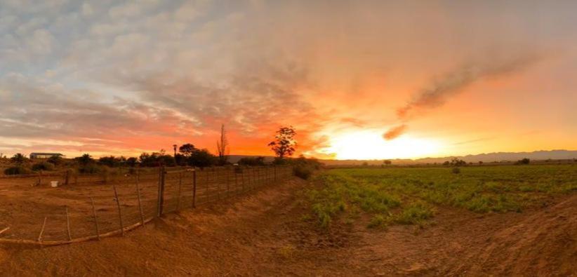 Апартаменты Pureplaas Self Catering Volmoed Oudtshoorn Klein Karoo Экстерьер фото